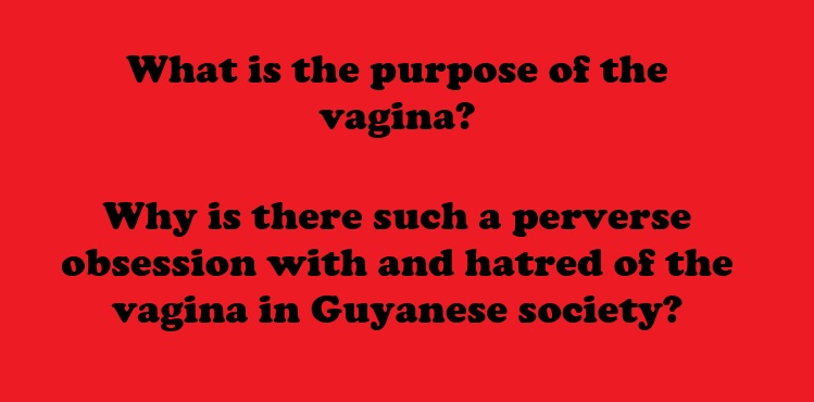What is the purpose of the vagina